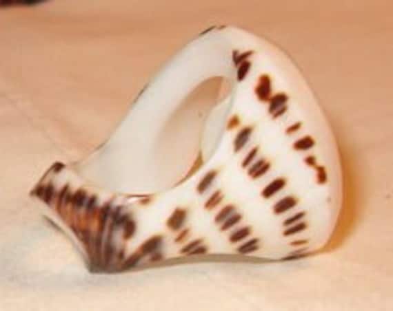 Statement Ring, Shell Carved Ring, Statement Ring… - image 2