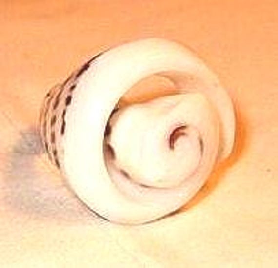 Statement Ring, Shell Carved Ring, Statement Ring… - image 1