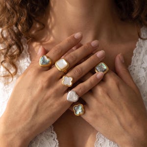 Può includere: Una collezione di sei anelli con fasce color oro e argento e varie montature, inclusi design a forma di cuore, quadrati e a quadrifoglio. Le pietre includono madreperla iridescente e inserti scintillanti in stile abalone grigio.