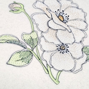 Könnte beinhalten: Ein Set aus drei Keramikbechern mit gesprenkelter, matter Oberfläche. Die Becher sind in Creme-, Hellgrau- und Dunkelgrautönen gehalten. Jeder Becher hat ein schlichtes, minimalistisches Design und einen abgerundeten Griff.