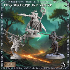 Può includere: Tre figurine in miniatura dettagliate di personaggi fantasy. Le figure sono in tonalità di grigio e bianco, ambientate su uno sfondo di un paesaggio montuoso. Il testo "FURY DISCIPLINE AND NATURE" è in alto. Il logo Artisan Guild è in basso.
