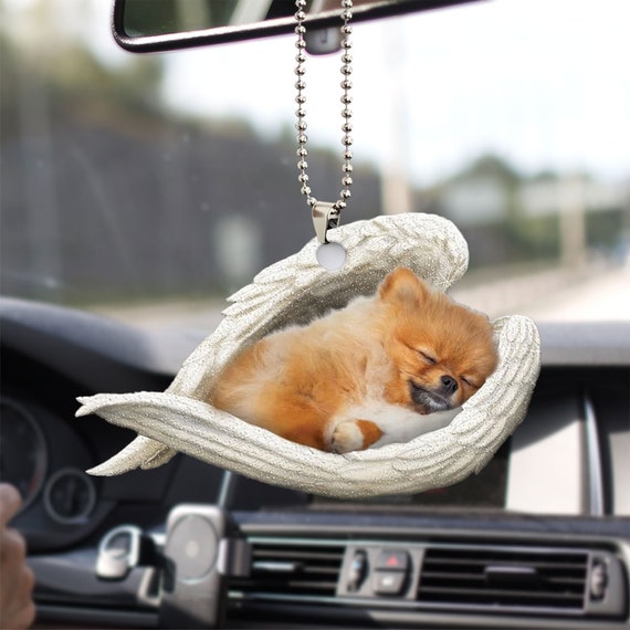 How Much Do Pomeranians Sleep
