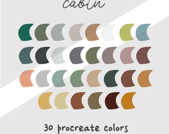 Procreate Color Palette Colour Swatches Swatch iPad