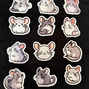 May include: A collection of twelve chinchilla stickers in various poses. The stickers feature cartoon-style illustrations of chinchillas in shades of gray, white, and pink. Each sticker has a white border and is set against a black background.