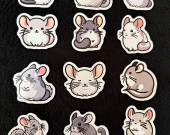 Chinchilla Magnets, Set of 12 Adorable New Friends