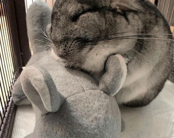 Chinnie-Buddie pour chinchillas, animaux de compagnie de poche et autres.