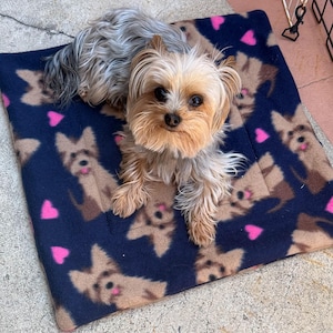 May include: A small, tan and gray Yorkshire Terrier dog lying on a navy blue pet bed. The bed is patterned with brown dog illustrations and pink hearts. The dog is looking directly at the camera.