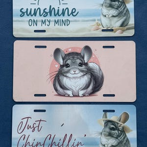 May include: Three license plates with chinchilla designs. One plate has the text "sunshine ON MY MIND" with a sun graphic. Another plate features a chinchilla illustration. The third plate says "Just Chinchillin".