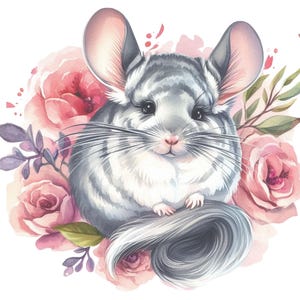 May include: Watercolor illustration of a chinchilla surrounded by pink roses and greenery. The chinchilla has gray and white fur, large ears, and long whiskers. The artwork has a soft, pastel color palette.