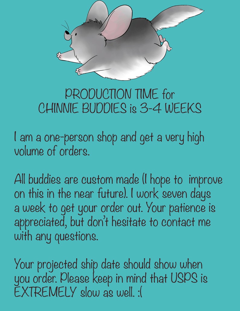 Chinnie-Buddie for Chinchillas, Pocket Pets and others. image 2