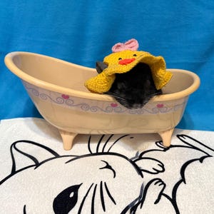 Chilldust – Chinchilla and Degu Bathing Pumice 5lbs