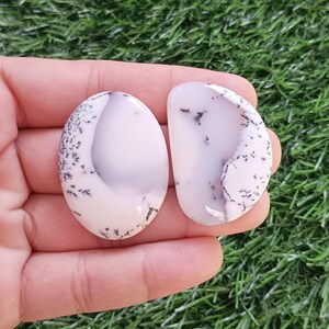 May include: Two polished, oval-shaped gemstones. The stones are white with gray and black dendritic inclusions. The gemstones are held in a hand against a background of green grass.