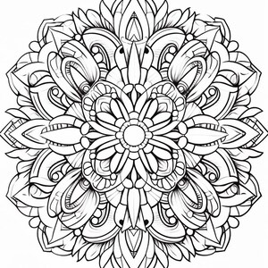 May include: A black and white circular mandala design featuring symmetrical floral and geometric patterns. The intricate line art consists of repeating petal shapes, curved lines, and pointed edges radiating from a central circle.
