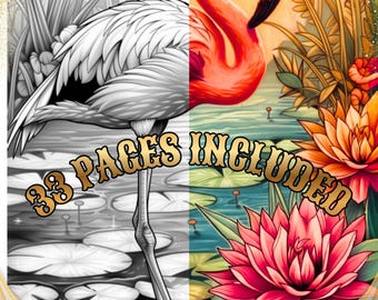 May include: A split-view illustration featuring a flamingo standing in a pond with lily pads. The left side is in grayscale, while the right side is in vibrant color with pink lotus flowers. The text 33 PAGES INCLUDED is centered across the image.