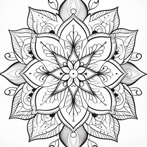 May include: A black and white line art drawing of a symmetrical mandala featuring a central flower surrounded by multiple layers of intricate, pointed petals, curved flourishes, and small circular accents arranged in a radial pattern.