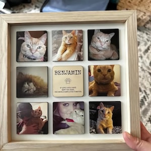 May include: A framed collage featuring nine square images of cats, with a central square bearing the name "BENJAMIN" and a paw print. The text below reads "IF LOVE COULD HAVE KEPT YOU HERE, YOU WOULD HAVE LIVED FOREVER."