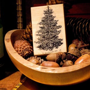 Nobel Fir Rubber Stamp