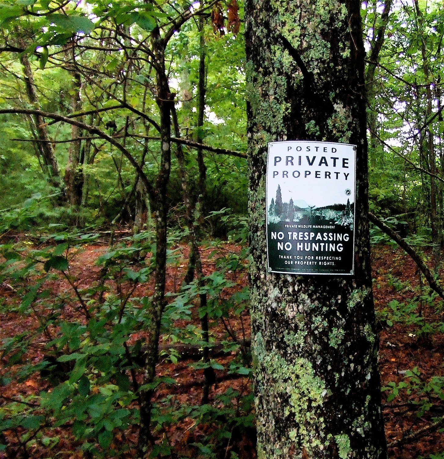 Poly. No Trespassing Sign - Etsy