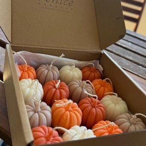 May include: A cardboard box containing fifteen pumpkin-shaped candles in shades of orange, white, and light brown. Each candle features a vertical ribbed texture and a single white wick at the top. The box lid is open, revealing the candles inside.