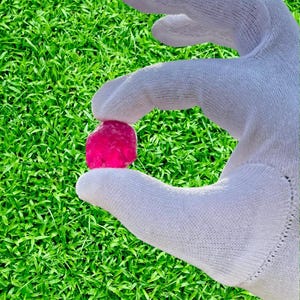 May include: A vibrant, rough-cut, pink gemstone held by a gloved hand against a backdrop of green grass. The gemstone's irregular shape and intense color are highlighted, suggesting a precious stone or mineral specimen.