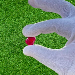 May include: A small, irregularly shaped, deep red gemstone is held between the fingers of a gloved hand. The background is a vibrant green, suggesting a natural setting. The gemstone's color contrasts with the white glove.