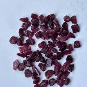Peut inclure: Une collection de nombreuses petites pierres précieuses rubis brutes et non polies. Chaque pierre présente une forme irrégulière et dentelée avec une couleur rouge foncé saturée et une surface naturelle texturée. Les pierres sont éparpillées.