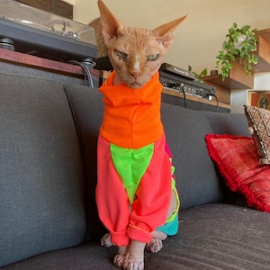 May include: A Sphynx cat wearing a vibrant, color-blocked jumpsuit. The outfit features a bright orange hooded top, neon green and pink panels, and matching cuffs. The cat is seated on a dark gray sofa, with a stern expression.