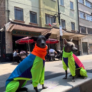UV Protective « neon » dri-fit onesie image 1