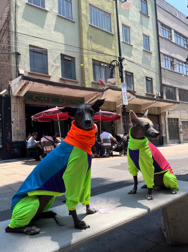 UV Protective « neon » dri-fit onesie image 1