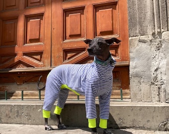 Comfy Cotton Dog Onesie White Blue Striped