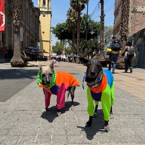 UV Protective « neon » dri-fit onesie image 10