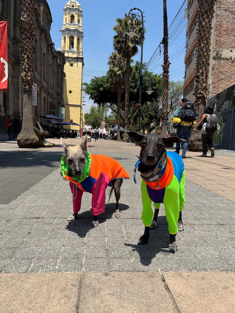 UV Protective « neon » dri-fit onesie image 10