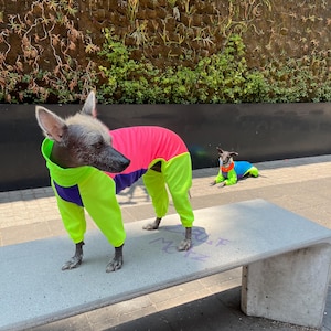 UV Protective « neon » dri-fit onesie image 9