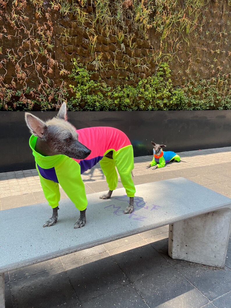UV Protective « neon » dri-fit onesie image 9