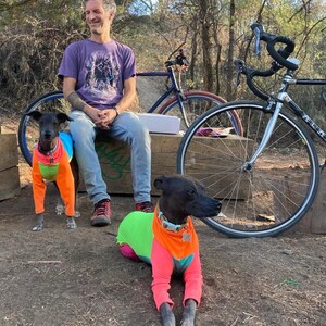 May include: Two hairless dogs wearing brightly colored shirts pose outdoors with a man and two bicycles. The shirts are a mix of neon pink, orange, green, and blue. The man is wearing a purple t-shirt and jeans.