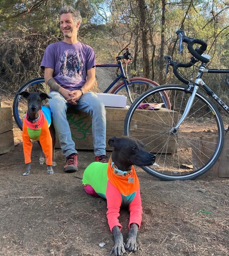 May include: Two hairless dogs wearing brightly colored shirts pose outdoors with a man and two bicycles. The shirts are a mix of neon pink, orange, green, and blue. The man is wearing a purple t-shirt and jeans.
