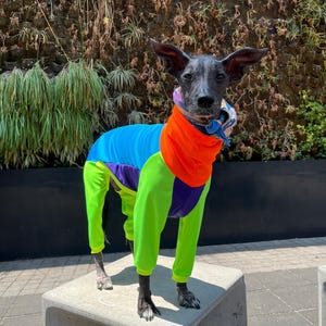UV Protective « neon » dri-fit onesie image 2
