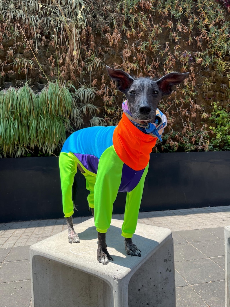 UV Protective « neon » dri-fit onesie image 2