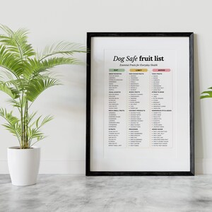 May include: A framed print with the text "Dog Safe fruit list" and a list of fruits categorized as "Eat", "Limit", and "Avoid". The print is in a black frame and is displayed next to a potted plant.