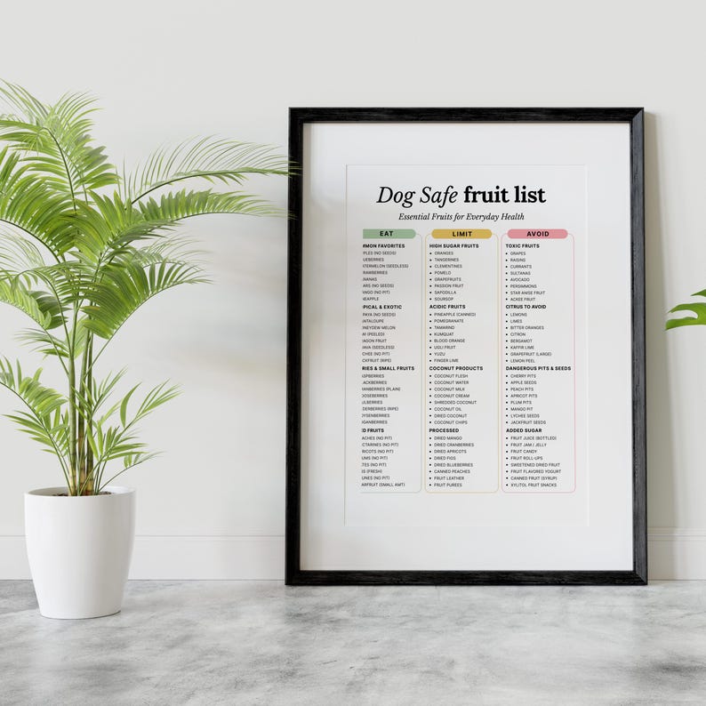 May include: A framed print with the text "Dog Safe fruit list" and a list of fruits categorized as "Eat", "Limit", and "Avoid". The print is in a black frame and is displayed next to a potted plant.