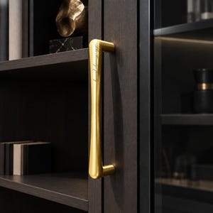 May include: A vertical, brushed gold-toned metal cabinet handle with a smooth, tapered design. The handle features the engraved text "The Remedy's Family" along its upper section and is mounted onto a dark brown, wood-grained cabinet door.