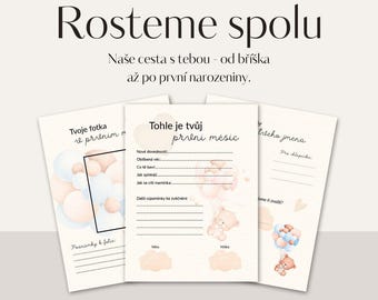 Diário do bebê / Livro de memórias do bebê / Gravidez / Primeiro ano do seu bebê / Para futuras mamães / Dětský deník ,,Rosteme spolu" / Diário digital