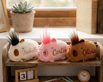 Personalized Plush Guinea Pig Toy, Custom Name Stuffed Animal Gift