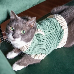 May include: A gray and white cat wearing a green and cream-colored knitted sweater. The cat has green eyes and is sitting on a green surface. The sweater has a star design on the front.