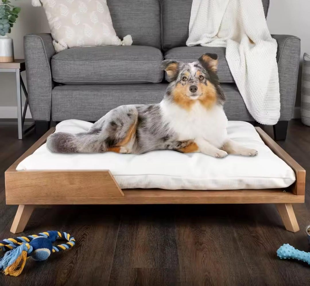 Modern Raised Dog Bed Wooden Frame With Cushion - Etsy