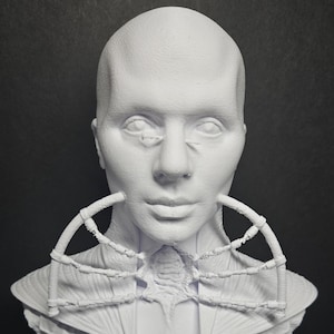 May include: A white bust sculpture of a human figure with a smooth, pale complexion. The sculpture features a detailed collar and a bodice with a laced design. The figure's face is serene, with closed eyes and a neutral expression.