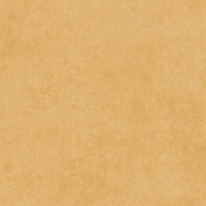 Shadow Play - Desert Sand - Maywood Studio - MAS513-TS2