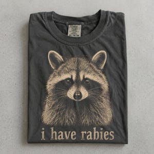 May include: A charcoal gray crew neck t-shirt featuring a detailed beige illustration of a raccoon face centered on the chest. Below the raccoon, the text "i have rabies" is printed in a distressed, serif font. The shirt has a Comfort Colors label.