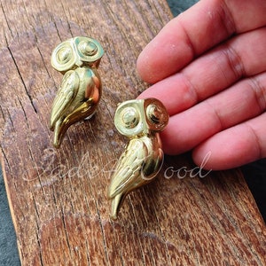 May include: Two gold owl-shaped drawer pulls with detailed wings and eyes. The pulls are on a wooden surface.