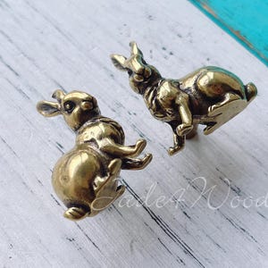 May include: Two small, brass-colored rabbit figurines. One rabbit is sitting, and the other is standing. The bunnies have detailed features, including ears, eyes, and paws. The background is a light wood surface with a turquoise accent.